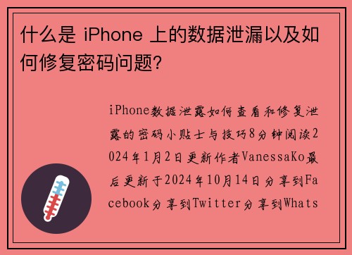 什么是 iPhone 上的数据泄漏以及如何修复密码问题？