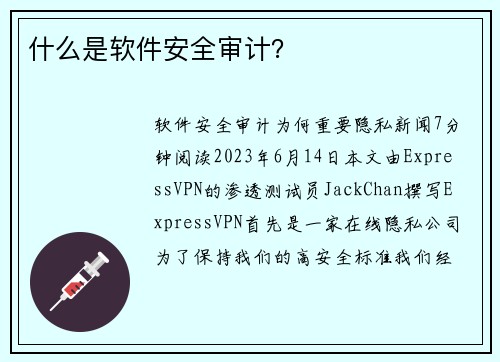什么是软件安全审计？